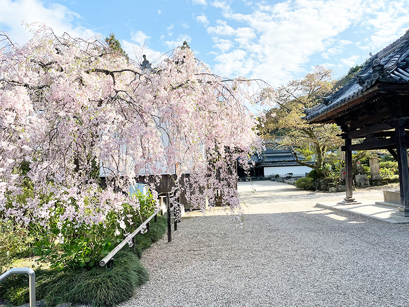 自然に囲まれたお寺